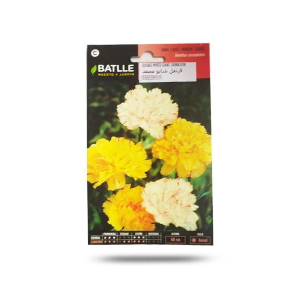Double Mixed Giant Carnation Seeds Price in Dubai, UAE