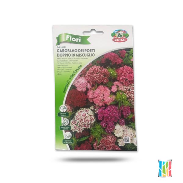 Sweet William Seeds Price in Dubai, UAE