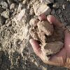 Agricultural or Clay Soil 20KG Bag Price in Dubai, UAE
