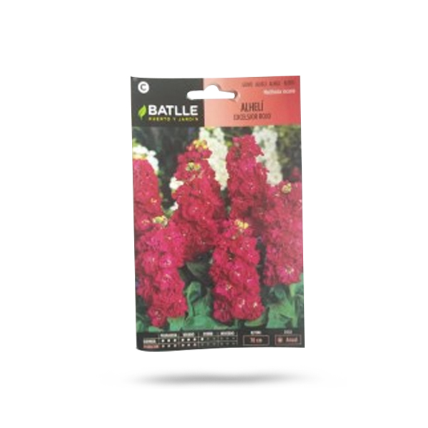 Matthiola Incana - Alheli Excelsior Rojo Price in Dubai, UAE