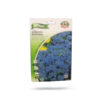 Agerato Nano Blu (Floss Flower) Price in Dubai, UAE
