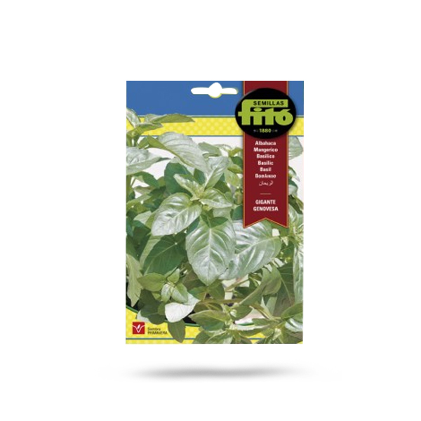 Fito Basil Leaf Price in Dubai, UAE