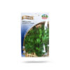 Parsley Leaf Seeds Price in Dubai, UAE