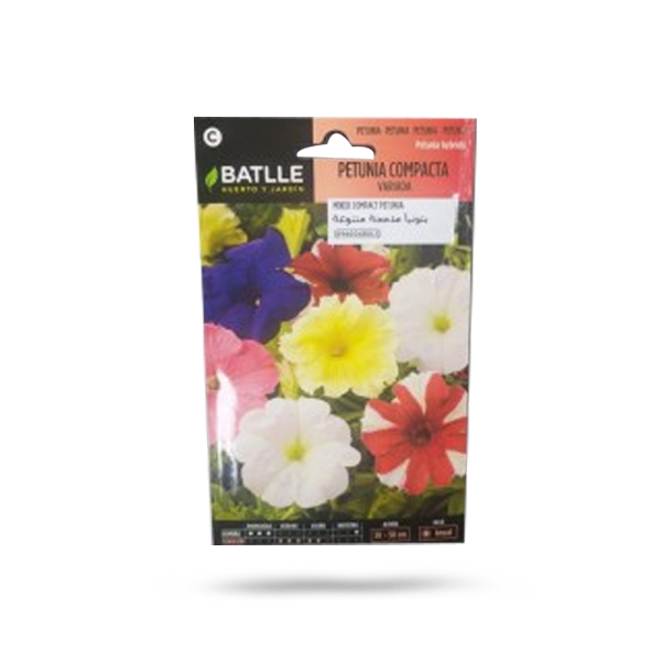Petunia Compacta Price in Dubai, UAE