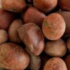 Brown Pebbles 3-5 cm Price in Dubai, UAE