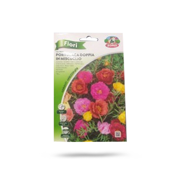 Portulaca Doppia Price in Dubai, UAE