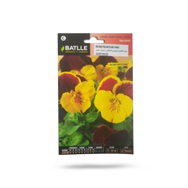 Red And Yellow Feline Pansy Price in Dubai, UAE