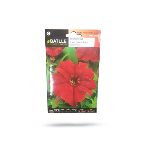 Red Compact Petunia Price in Dubai, UAE